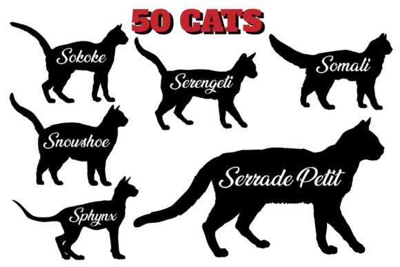 50 CATS SVG Cat Silhouette